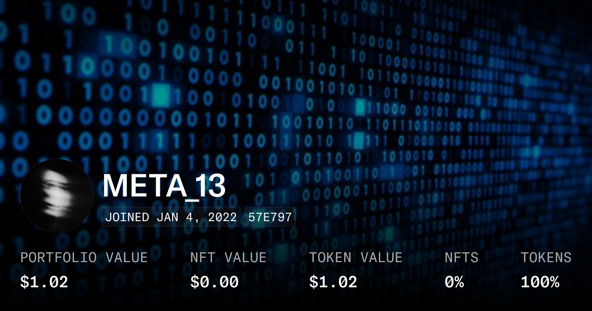 META_13 - Profile | OpenSea