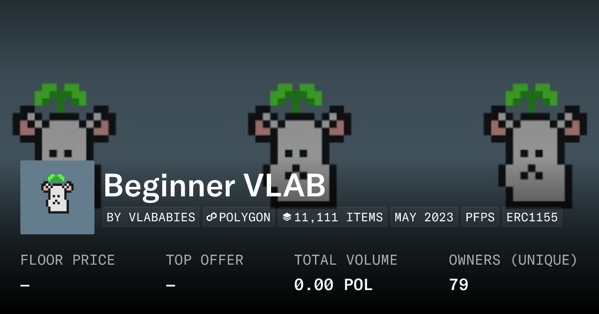 Beginner VLAB - Collection | OpenSea
