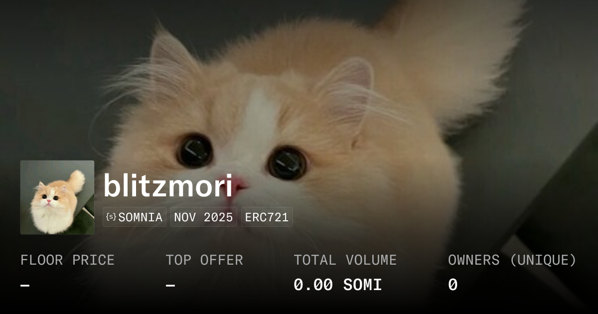 blitzmori - Collection | OpenSea