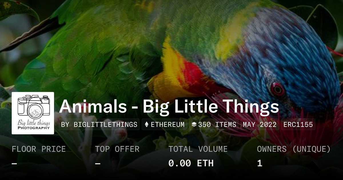 opengraph-image?ts=29170691