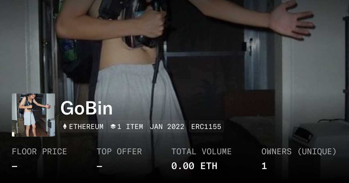 GoBin - Collection | OpenSea