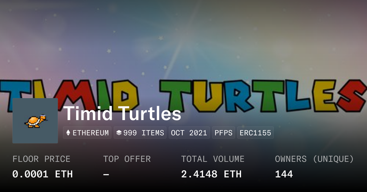 Timid Turtles - Collection | OpenSea